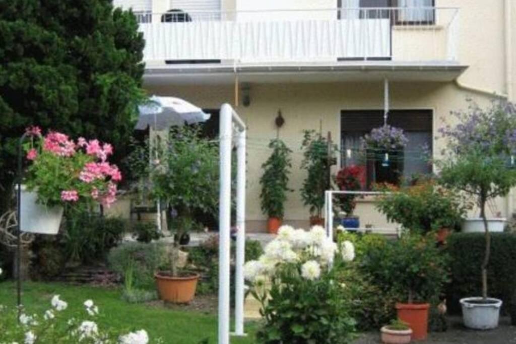 Ferienwohnung Maria Magdalena Bad Neuenahr-Ahrweiler Exterior photo